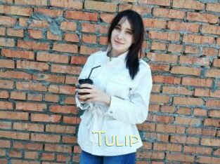 Tulip