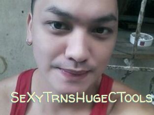 _SeXyTrnsHugeCTools_ Sexy Tchat