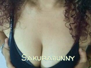 Sakurabunny