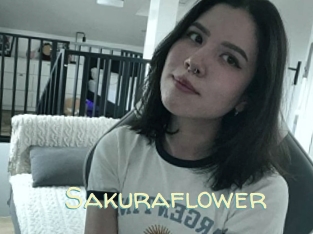 Sakuraflower