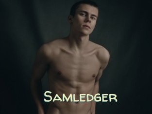 Samledger