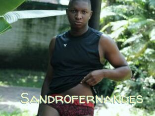 Sandrofernandes