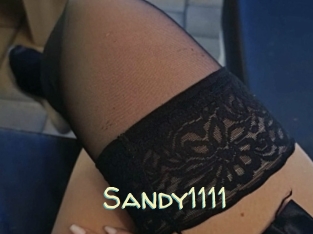 Sandy1111