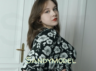 Sandymodel