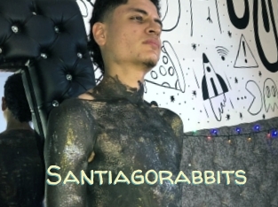 Santiagorabbits