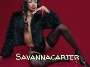 savannacarter Sexy Tchat