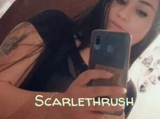 Scarlethrush