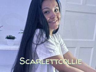 Scarlettcollie
