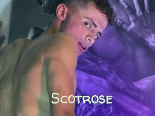 Scotrose