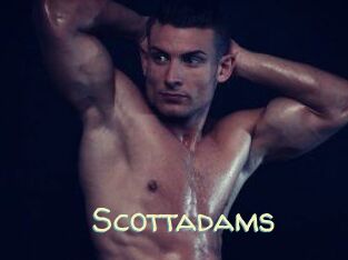 Scottadams