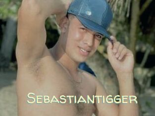 Sebastiantigger