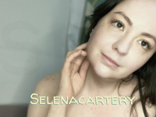 Selenacartery