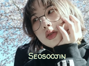 Seosoojin