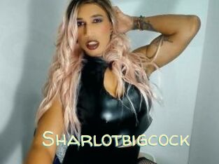 sharlotbigcock Sexy Tchat