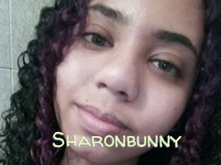 Sharonbunny