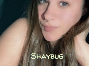 Shaybug
