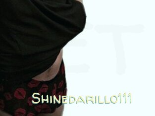 Shinedarillo111
