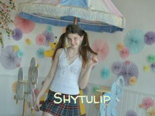 Shytulip