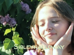Sibleyhalloway
