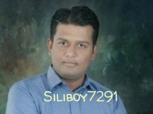 Siliboy7291