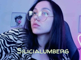 Silicialumberg