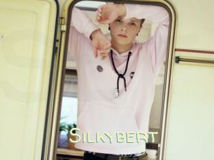 Silkybert