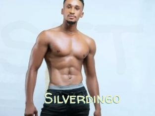 silverdingo Sexy Tchat