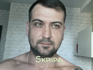 Skripa