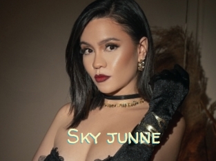 Sky_junne