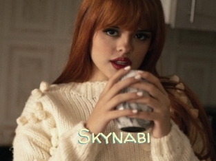Skynabi