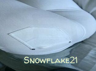Snowflake21