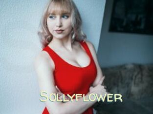 Sollyflower