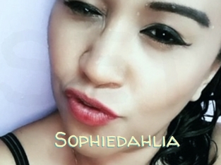 Sophiedahlia