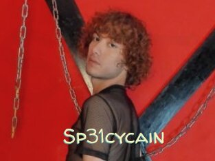 Sp31cycain