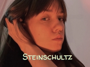 Steinschultz