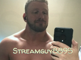 Streamguy8895