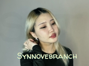 Synnovebranch