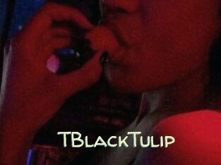 TBlackTulip