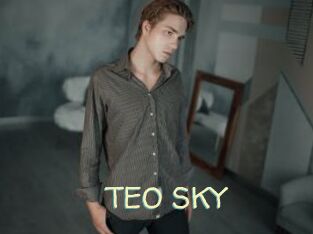 TEO_SKY