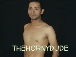 THEHORNYDUDE