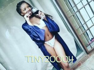 TINY20004