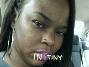 T_N_Ttiny