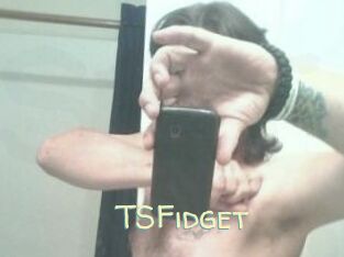 TSFidget