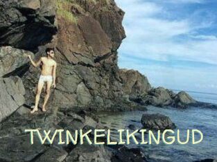 TWINKELIKINGUD