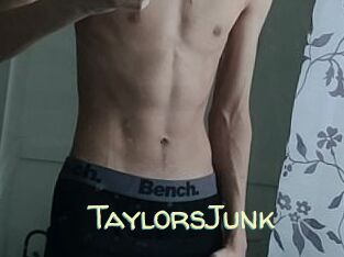 TaylorsJunk