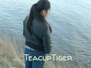 TeacupTiger