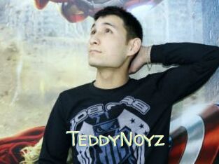 TeddyNoyz
