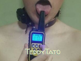 TeddyTato