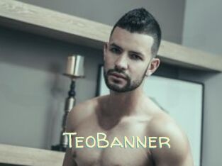 TeoBanner