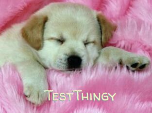 TestThingy
